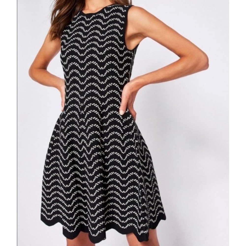 Ted Baker Mini Dress Jacquard Knit‎ Fit & Flare Sleeveless Navy Cream US 6